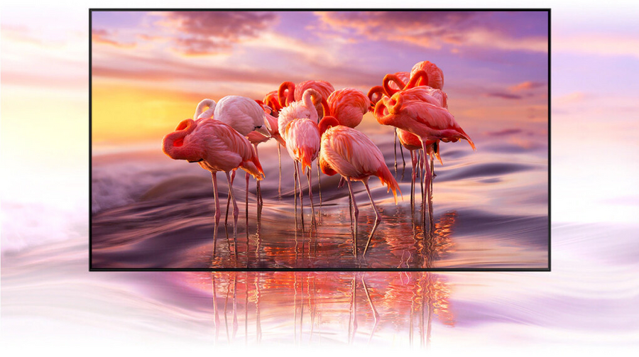 Smart Tivi Samsung 4K 55 inch 55DU8000 Crystal UHD